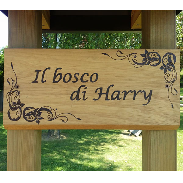 il bosco di Harry