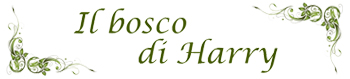 logo il bosco di Harry