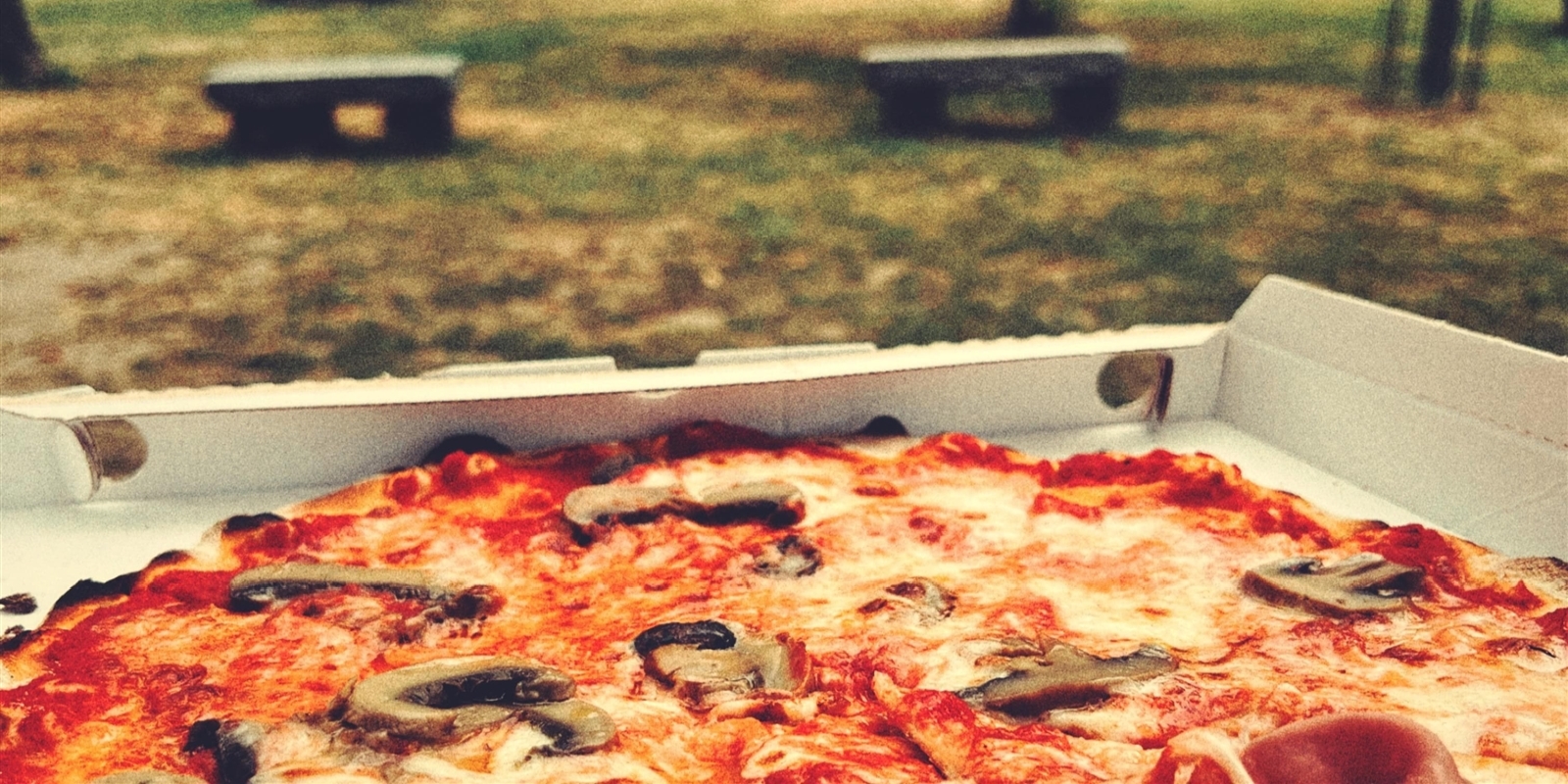 Cena e pizzata serale