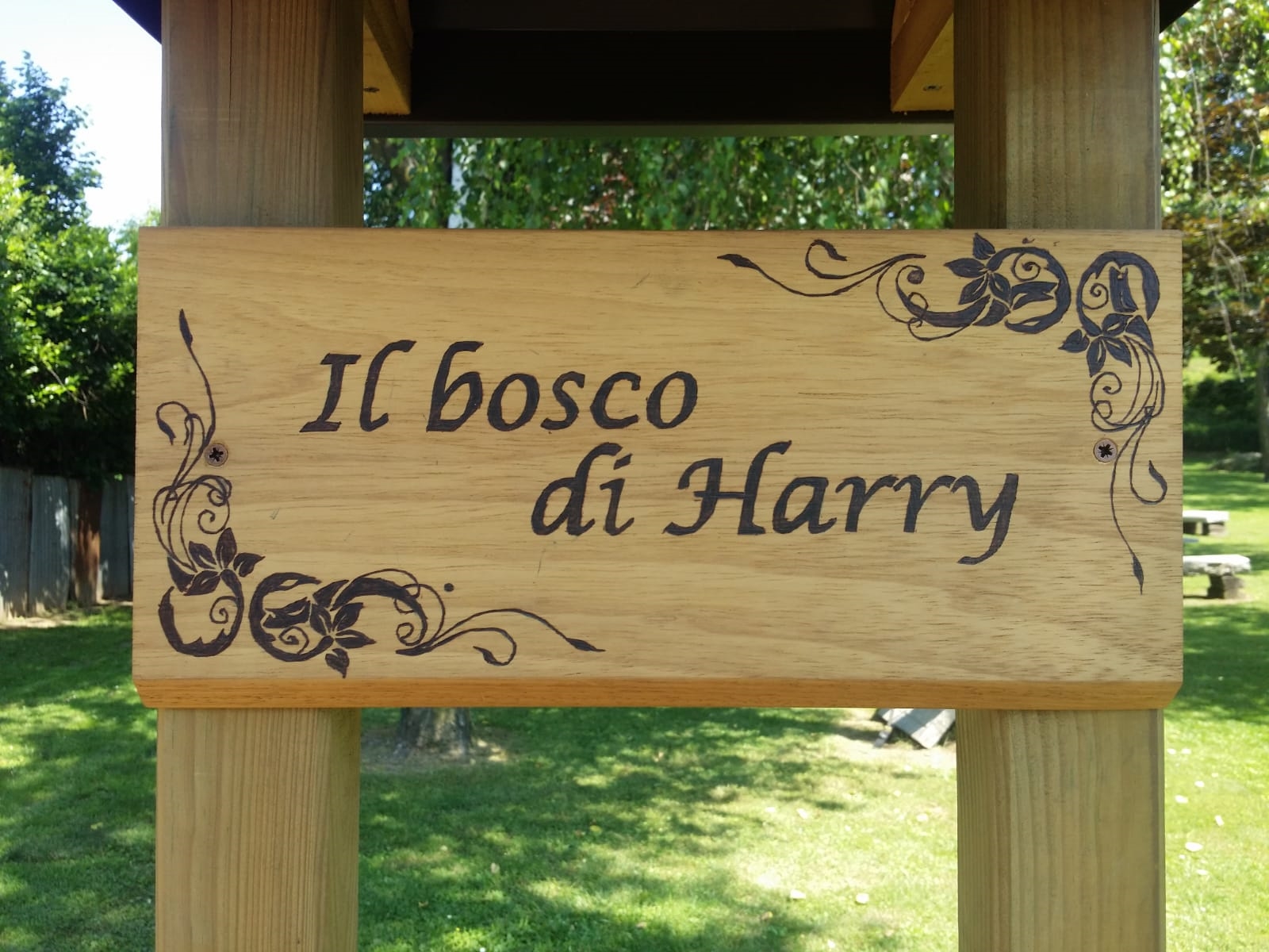 Il bosco di Harry