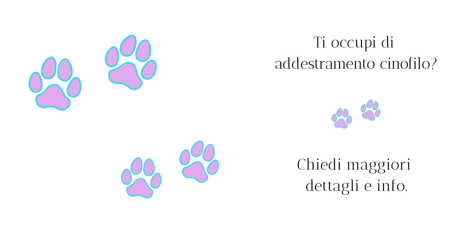 ATTIVITA': addestramento cinofilo