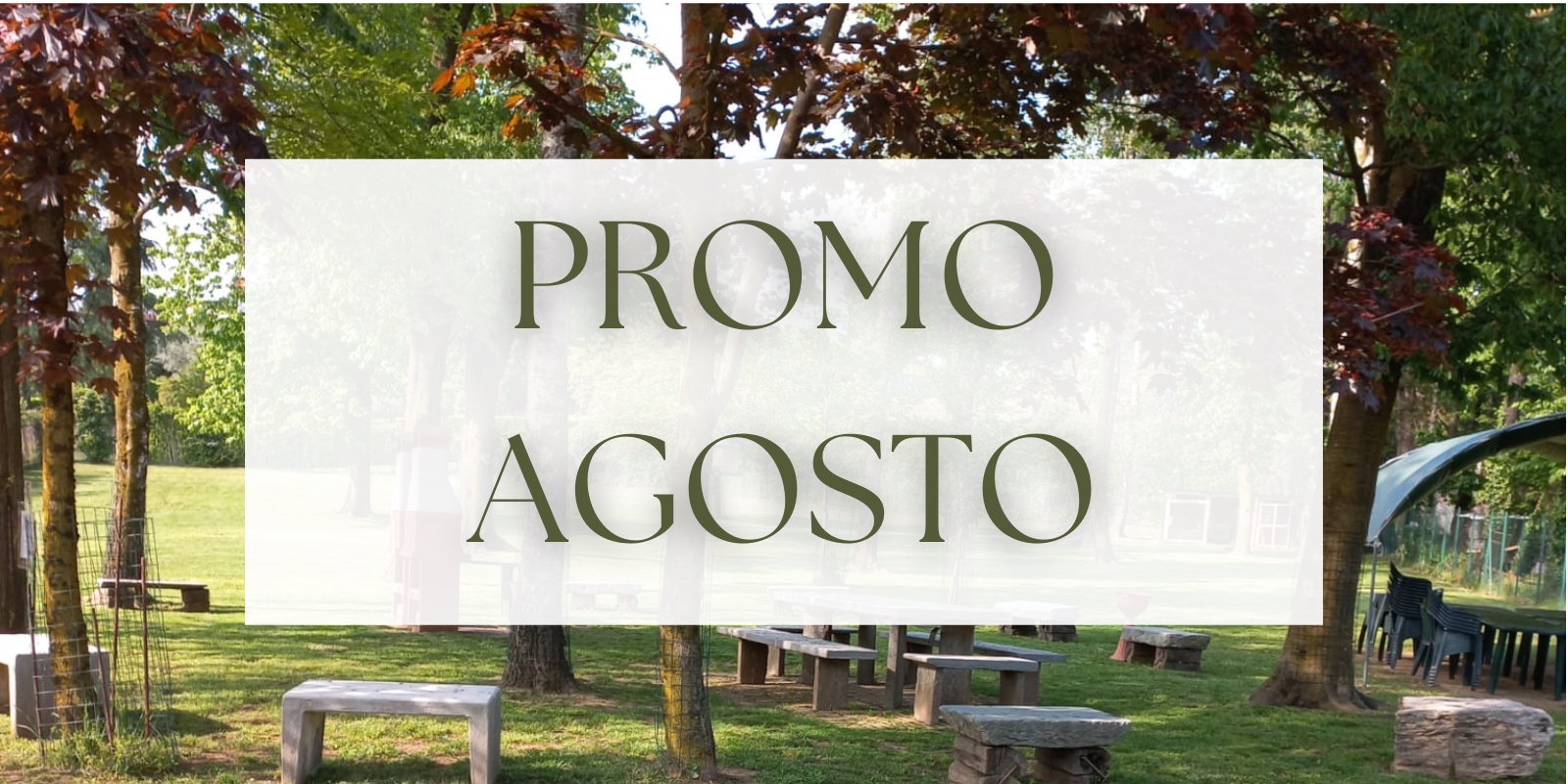  PROMO: agosto al bosco di Harry